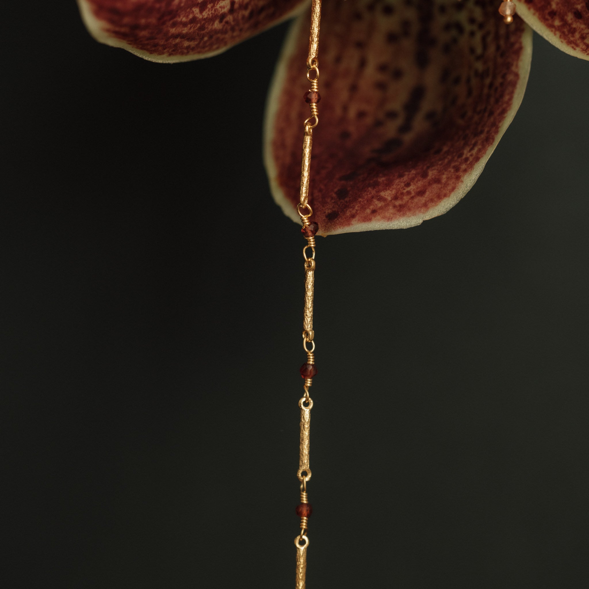 Born of the Stars | January | Garnet